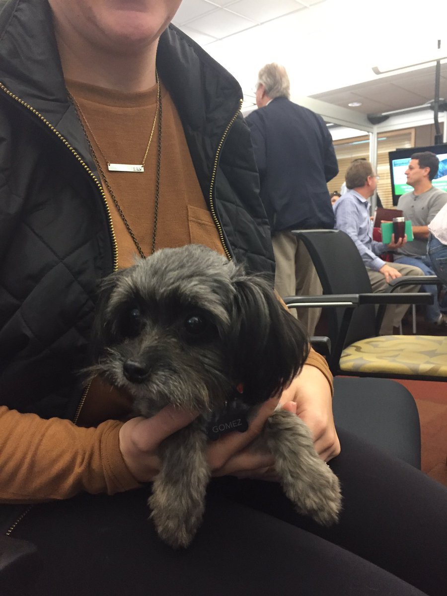 julie29501's tweet image. Gomez from @DOGparkKC helps represent his mom and dad! #ideasinKC