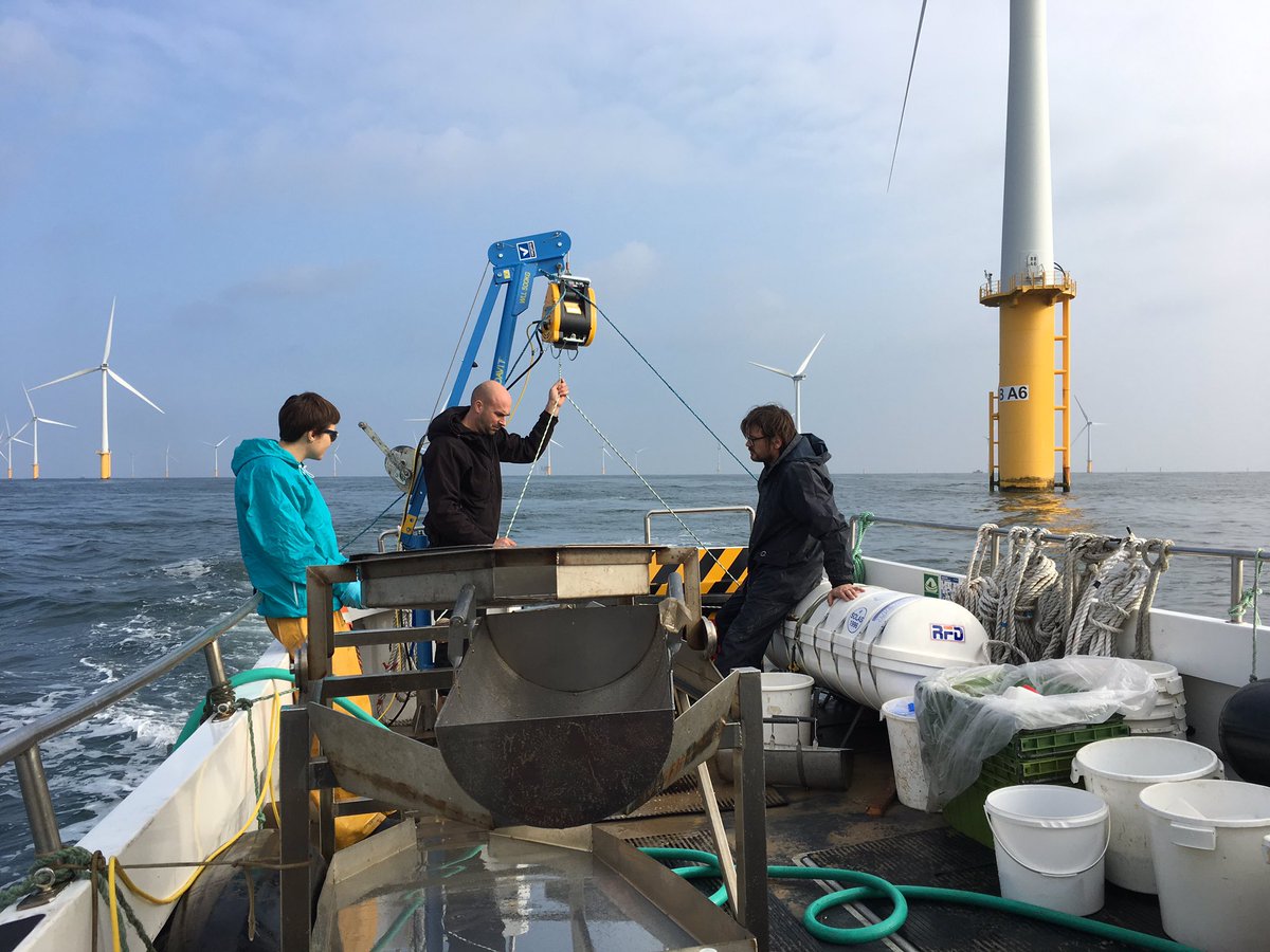 badsmet's tweet photo. Meanwhile at the #blighbank. Sampling time! #belwind #northsea #marbiol @ugent @ResearchUGent https://t.co/OuBLy3M5gs