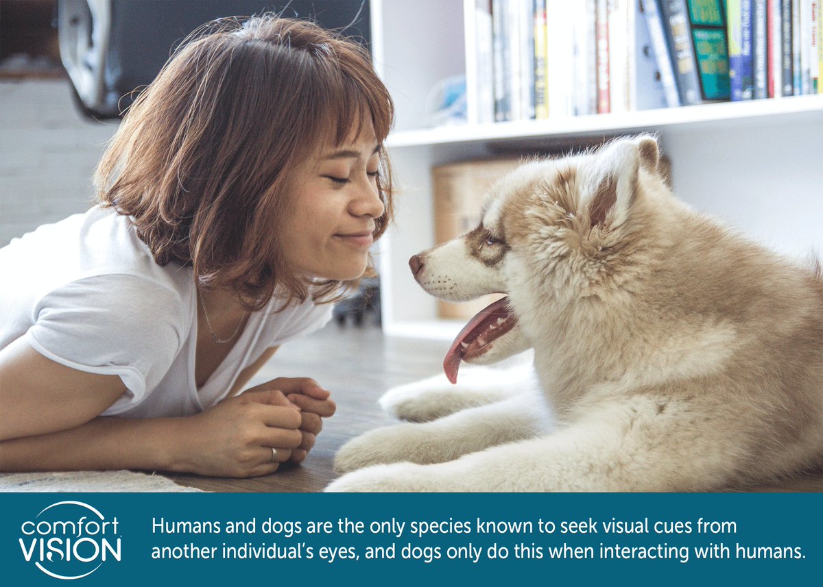 mycomfortvision's tweet photo. #WisdomWednesday Who is your best friend? #ComfortVision #eyehealth #ProOcular https://t.co/Ucbd9iu4KN