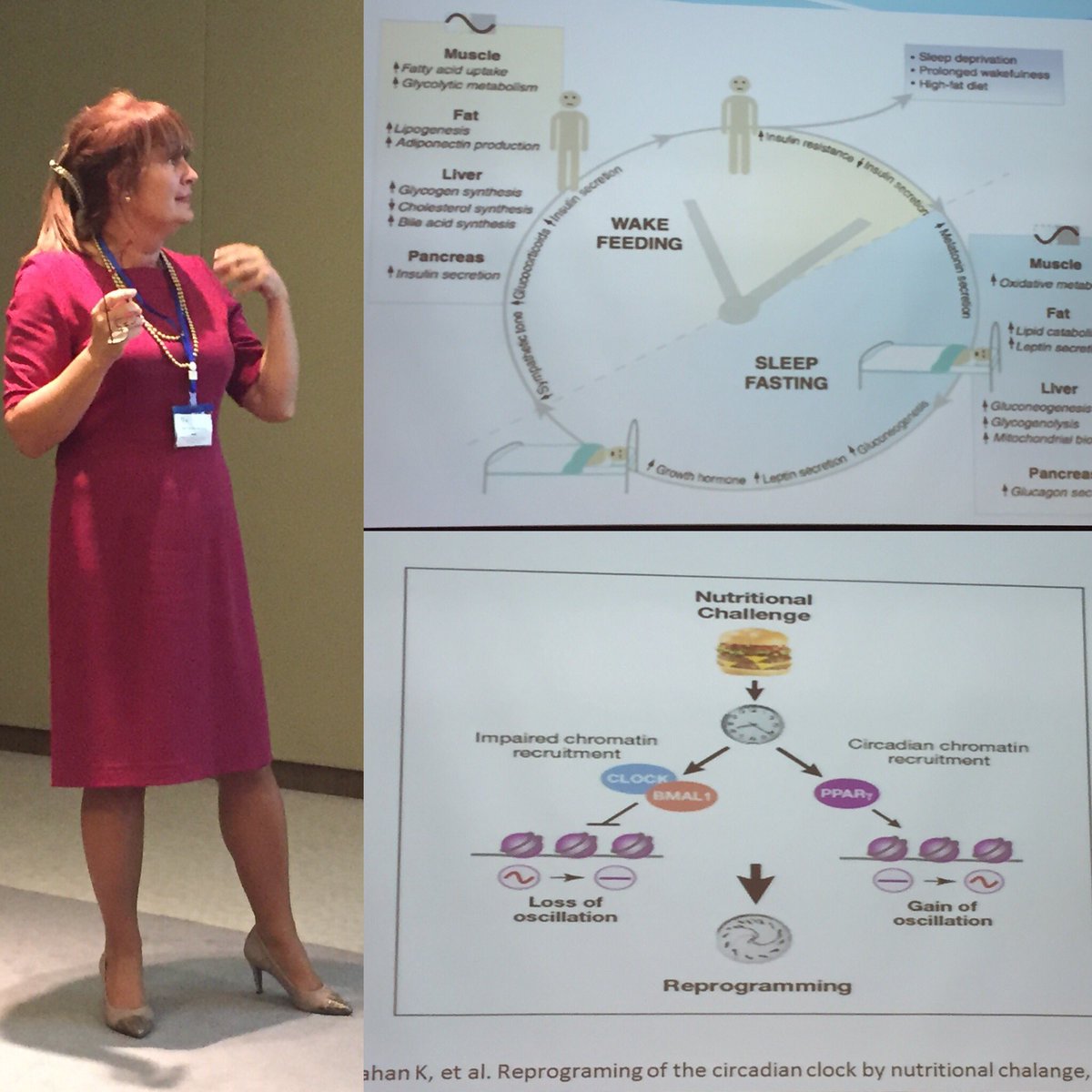 milkasklvc's tweet photo. Maja Mladenović: the circadian clock regulates our feeding & feeding regulates the clock; don't live against your biology! #CONU2016 https://t.co/cpPgRDsSnC