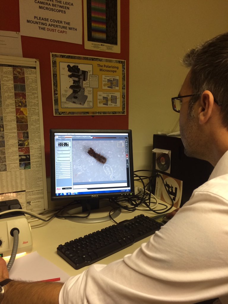 keroche3's tweet photo. It's an #IPM morning @Museum_Cardiff. Looking at pest traps with @NMWPrevCons #museumsCM #prevcons #woollybear #whatseatingyourcollection https://t.co/QgT7xmERlT