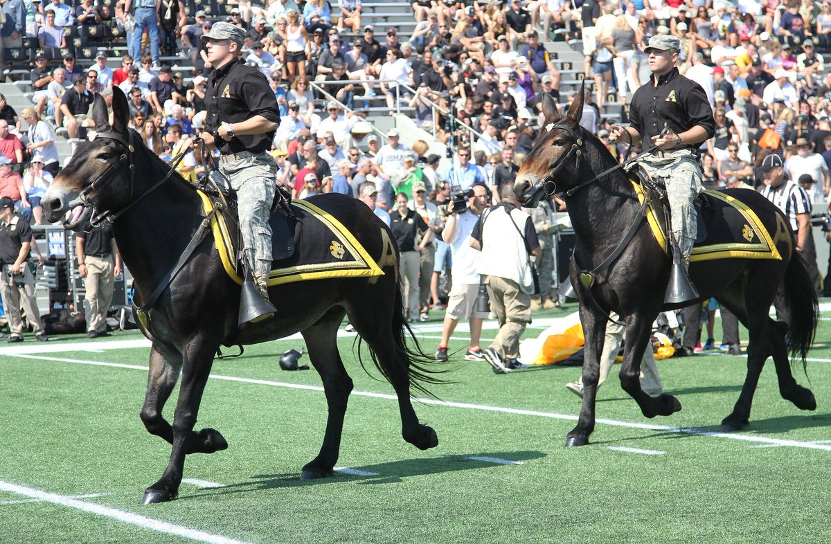 WestPoint_USMA's tweet photo. Happy #MuleAppreciationDay! Mules serve as the mascots for not only #USMA, but the whole #USArmy! (@USArmyphoto by Eric Bartelt) https://t.co/ibhuLOgl8I
