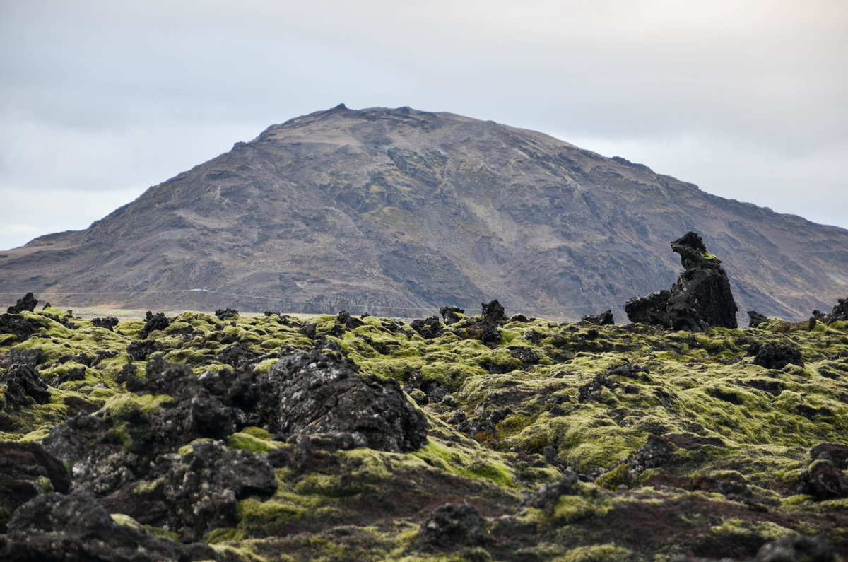 Asgard Beyond tweet media