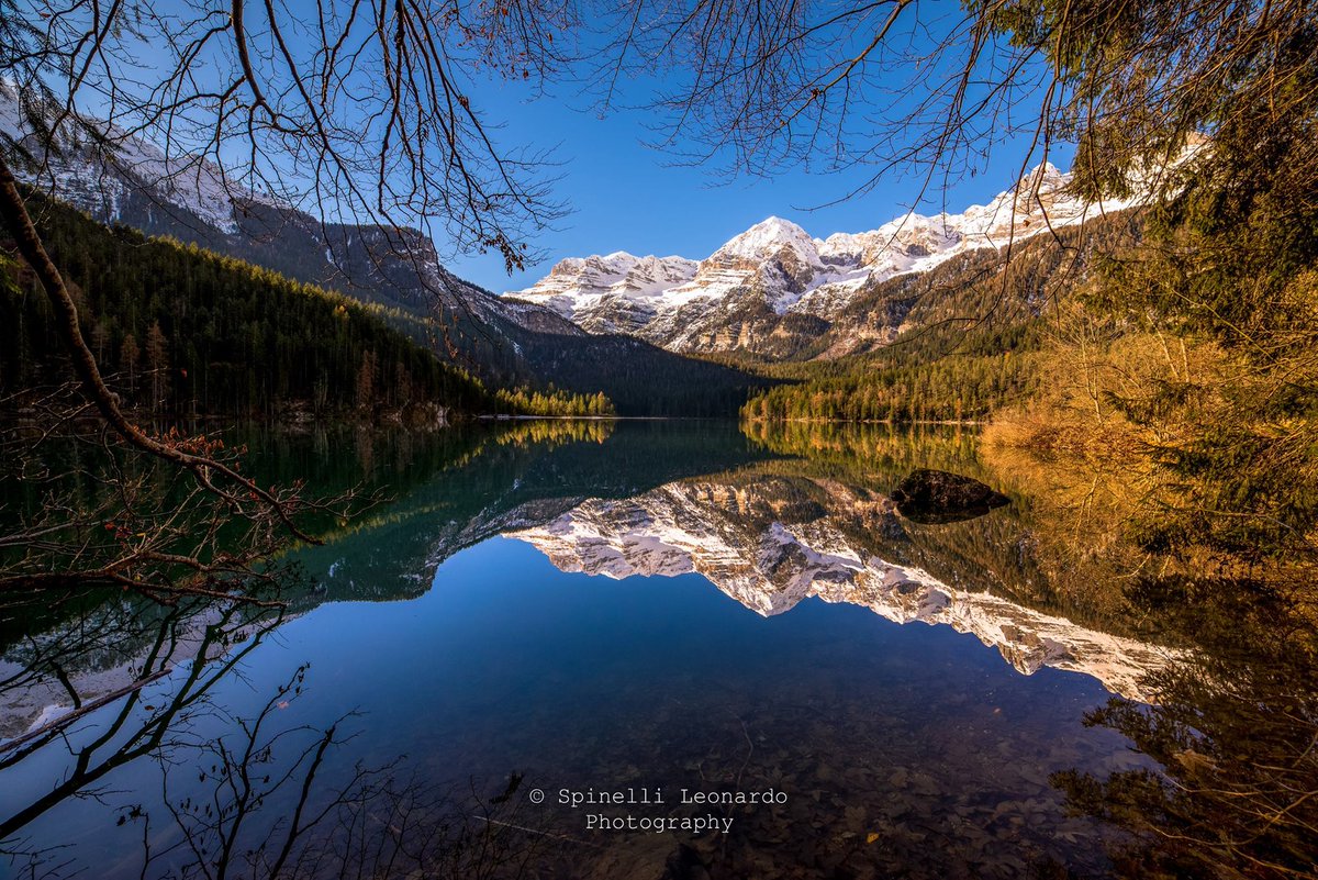 LagodiTovel's tweet photo. L'autunno è la stagione in cui cadono le foglie, la natura cambia i colori e si prepara ai rigori invernali
Foto di Leonardo Spinelli
@pnab_ https://t.co/Jrd7UahxPi