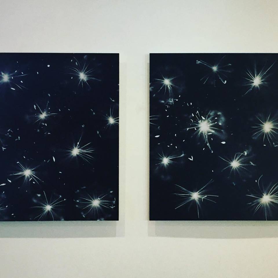 Archie Browns tweet media