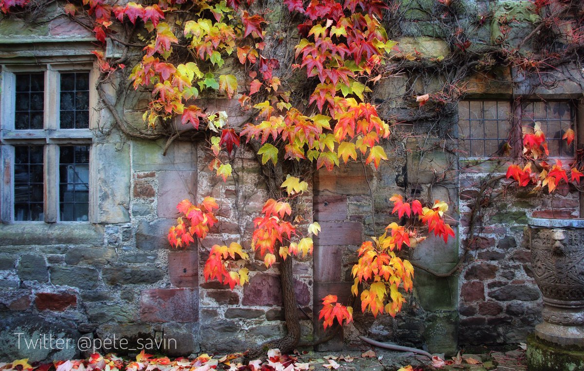 pete_savin's tweet photo. Spot the blocked doorway? Parts of this wing of #AskhamHall dates to the 16th Cent #Cumbria #Autumn #LakeDistrict https://t.co/dN2NZkDBk4