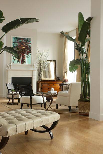 Mimubcom's tweet photo. Todas las claves para conseguir un salón colonial 🌿
Ver todo: https://t.co/fQ694MizLd https://t.co/UiFA973NSy