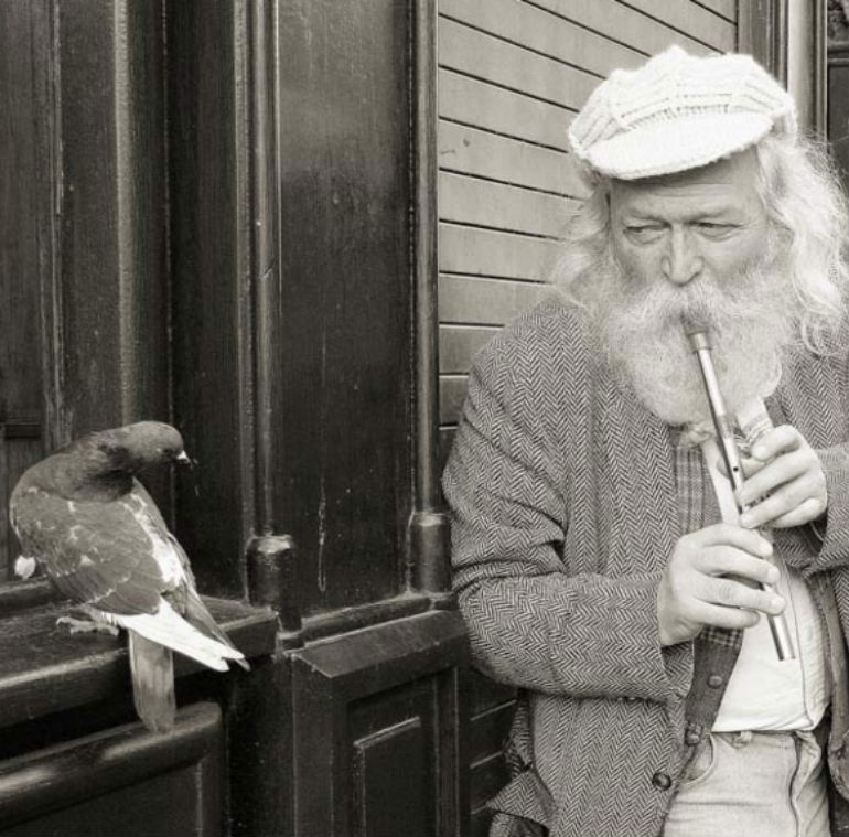 DublinTown's tweet photo. Ireland in Focus opens in @BCDublin tonight, full of amazing photography! https://t.co/wHaKLQok1j https://t.co/f8QPWfpqz1