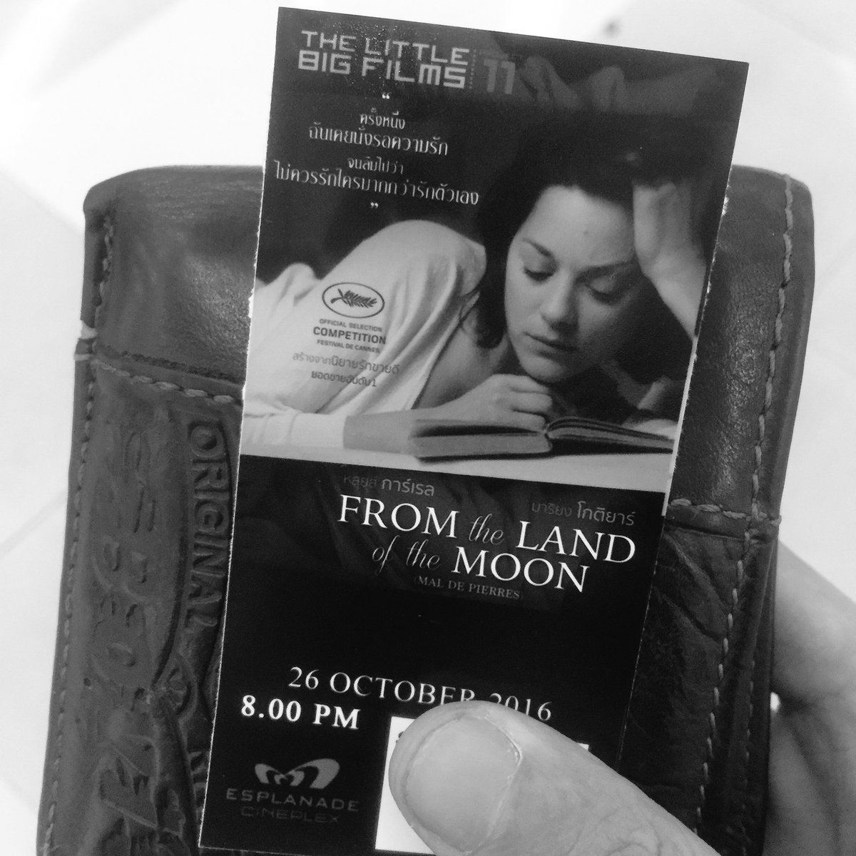 MintMovie's tweet photo. มาริยง โกติยาร์ เหี่ยวเฉาในความรักกับภาพยนตร์ปิดท้าย #LBFP11 

From The Land of The Moon https://t.co/20aM6WZKK7
