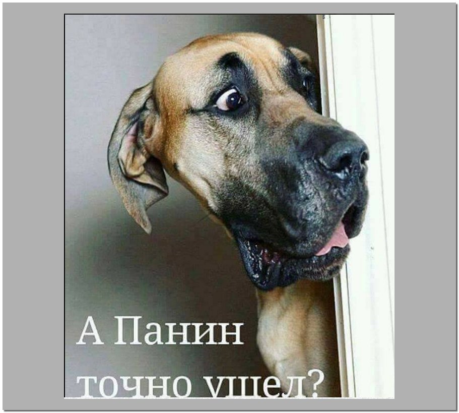 Порошенко призывает Рютте найти взаимоприемлемый вариант разблокировки ратификации Соглашения об ассоциации Нидерландами - Цензор.НЕТ 9905
