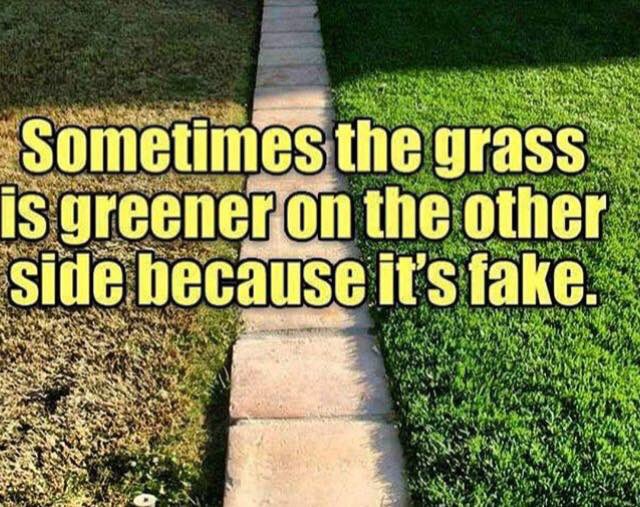 SwaggerScan tweet media