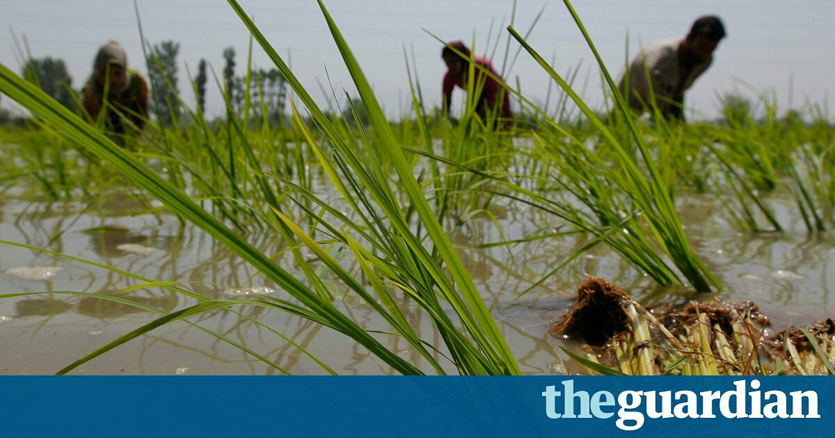 SEIclimate's tweet image. What is causing the rapid rise in #methane emissions? Studies find bigger agriculture, fracking roles bit.ly/2ePp1tH #SLCPs