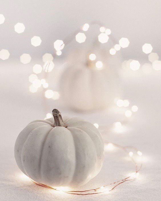 For all sorts of #fall #nspiration stop by 118 W Commerce Ave <a href="/HPMarketNews/">High Point Market</a>. Photo @CRdecoration #Pumpkins #Inspo