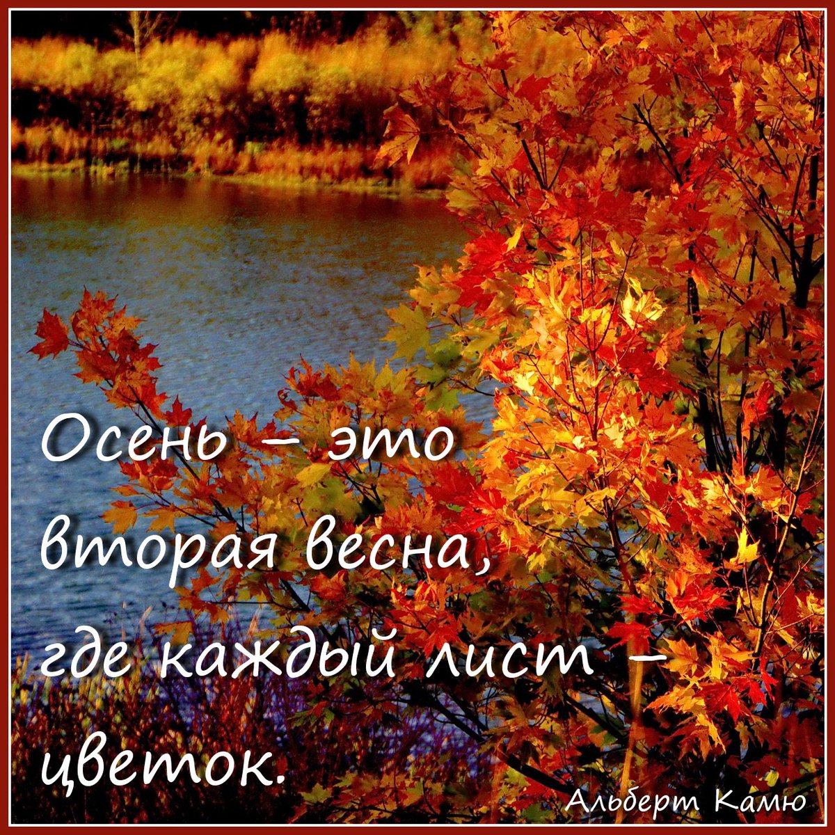 Осенью каждый лист цветок. Осень это когда. Как называются цветы когда весной листочки а осенью цветочки.