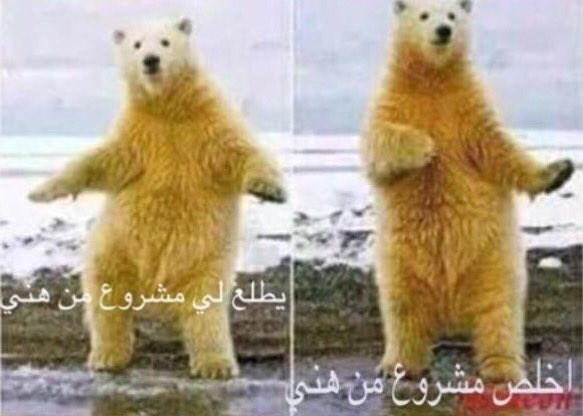 sharqiyaHS's tweet photo. https://t.co/yhmWDs9PLX