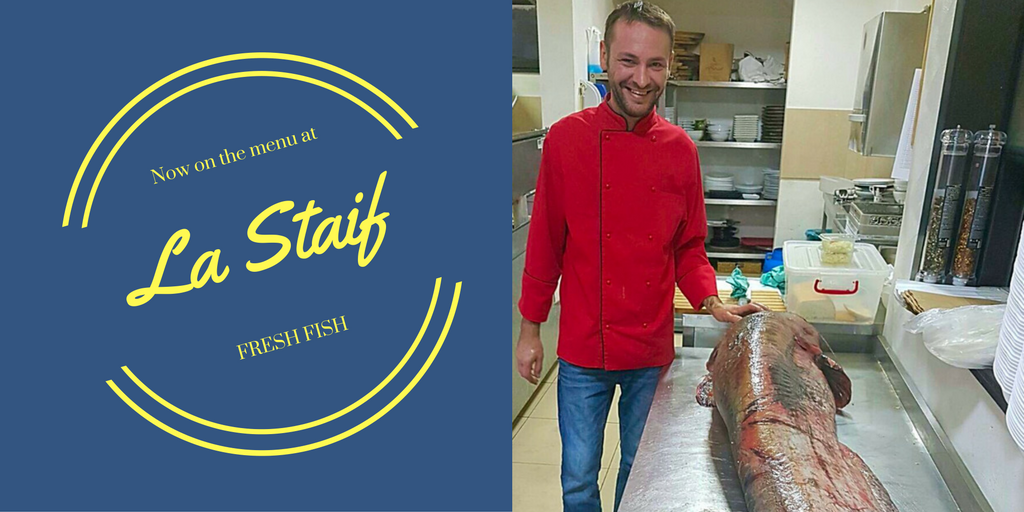 CramaCuStaif's tweet photo. Looks like we are ready for a #fish extravaganza! #Suceava #yum https://t.co/eOwGe1pTbT