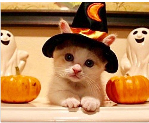 adelefree80's tweet image. 