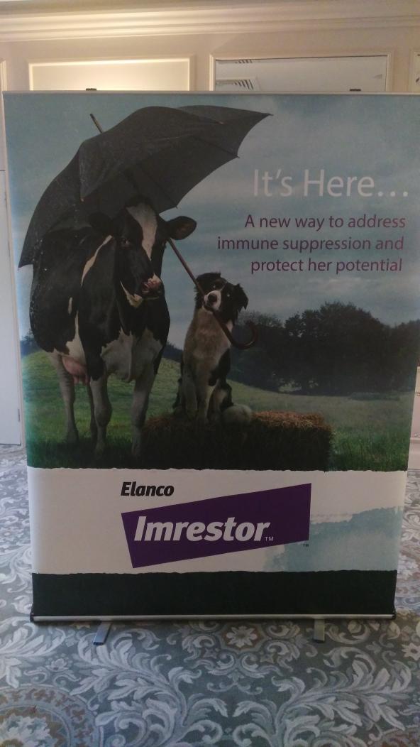 FJDairy's tweet photo. Elanco launch interesting development in light of antibiotic resistance. Obviously still some work ongoing on actual benefits. #imrestor https://t.co/6rriO18dSa