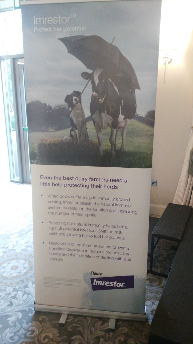 FJDairy's tweet photo. Elanco launch interesting development in light of antibiotic resistance. Obviously still some work ongoing on actual benefits. #imrestor https://t.co/6rriO18dSa