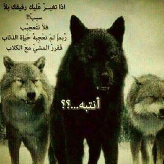 hboob99's tweet photo. https://t.co/dKTVkqA1qw
