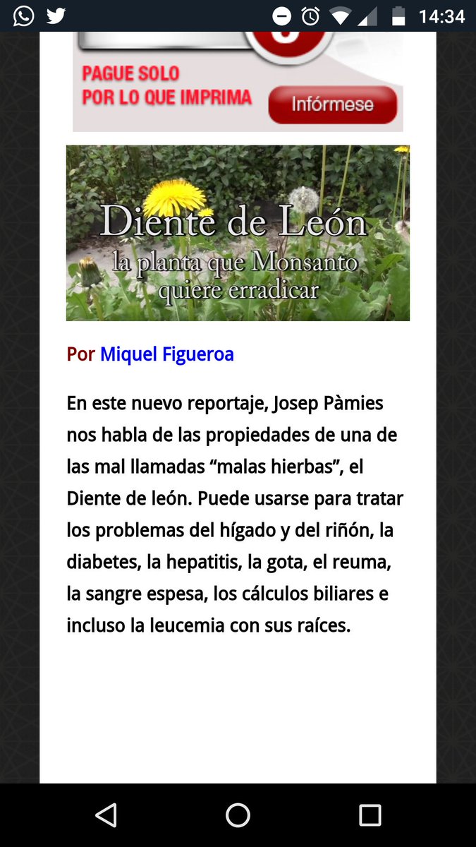 En este nuevo reportaje, Josep Pàmies nos habla de las propiedades de una de las mal llamadas "malas hierbas", el diente de león. Puede usarse para tratar los problemas de hígado, riñón, diabetes, hepatitis, gota, reuma, sangre espesa, cálculos biliares e incluso la leucemia con sus raíces.