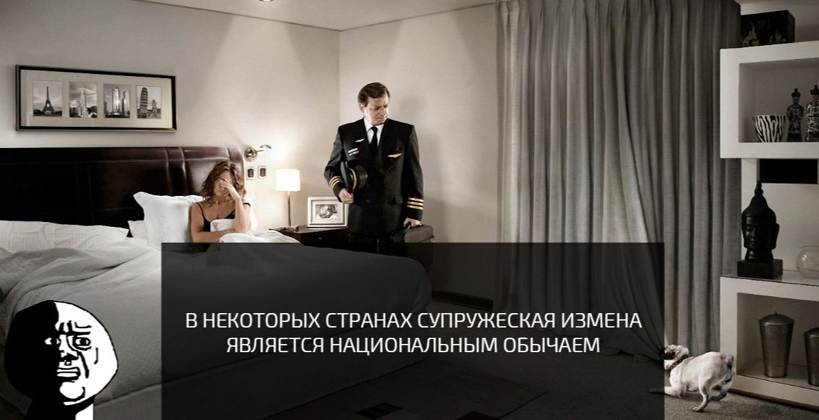 Питерский Илья (@piter98pit) on Twitter photo 