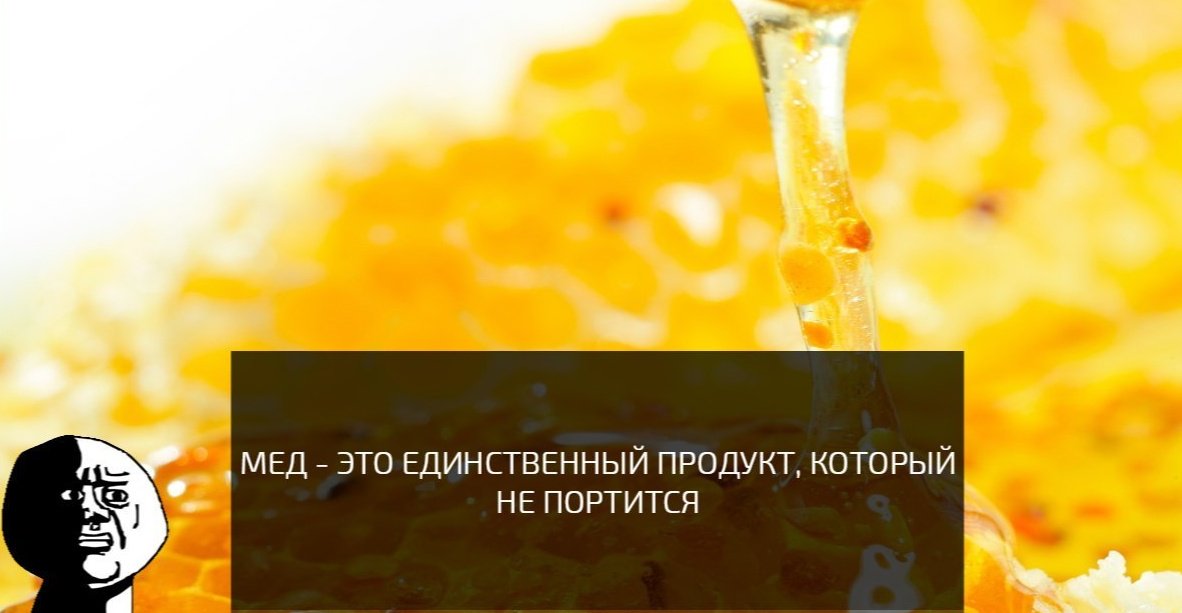 Питерский Илья (@piter98pit) on Twitter photo 