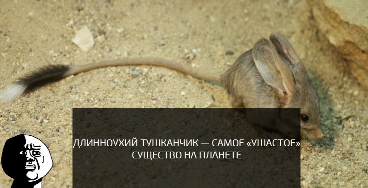 Питерский Илья (@piter98pit) on Twitter photo 