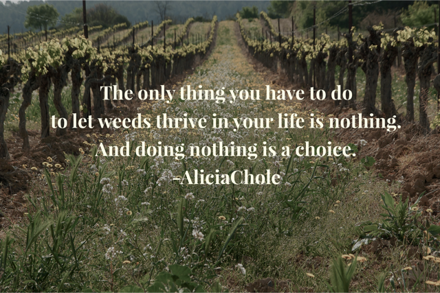 aliciachole's tweet photo. The only thing you have to do to let weeds thrive in your life is nothing. And doing nothing is a choice. https://t.co/JHvFRlkj7q