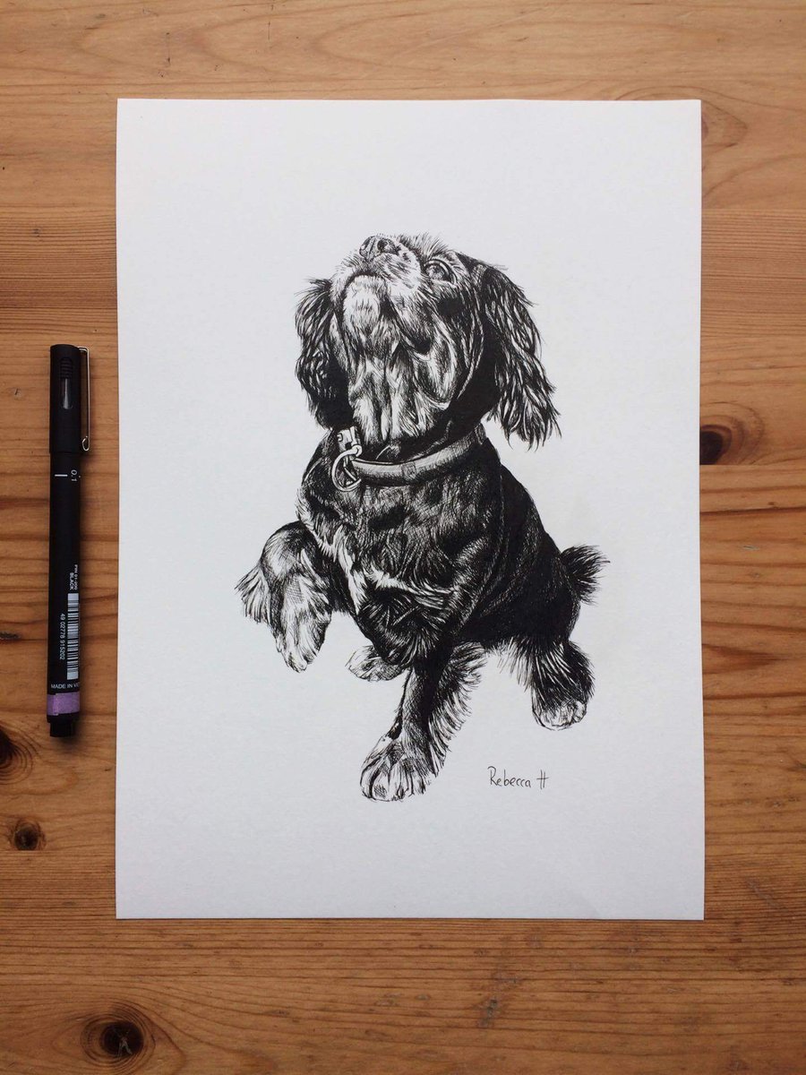 Derek French. FMPA. tweet media