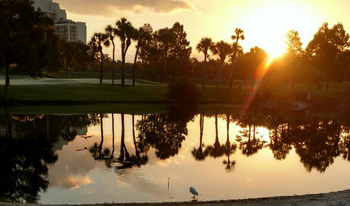 DanielGSalinas's tweet photo. Thank you Brienne Willcock and team along with IES staff for a wonderful IES Annual Conference. #iesconnectedlight. See you in August. https://t.co/NjbYEe69vE