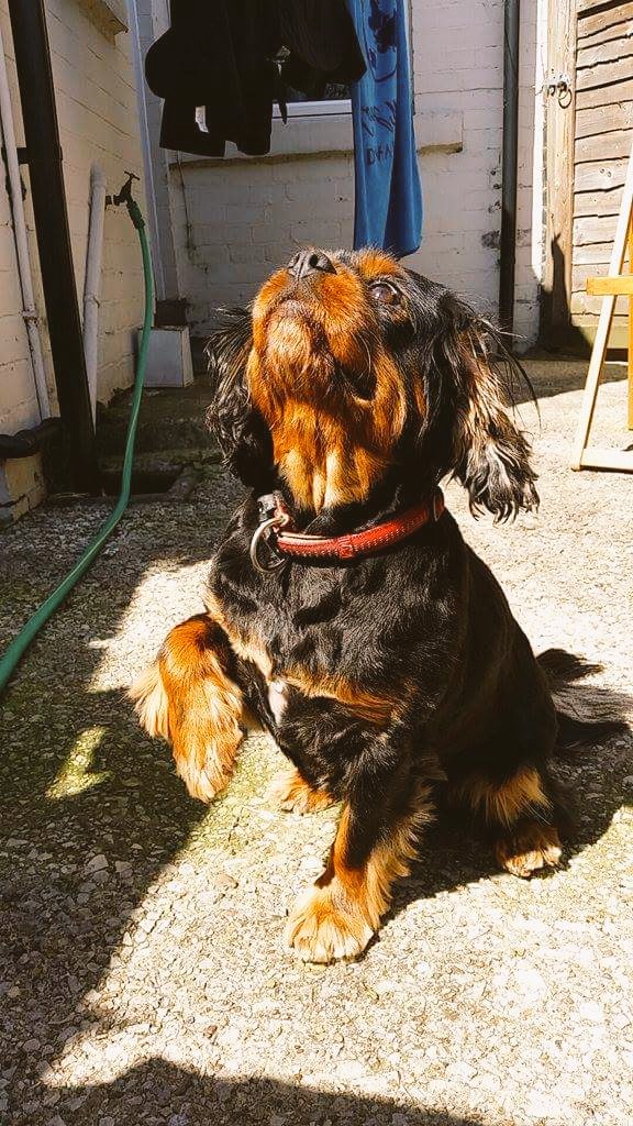 Derek French. FMPA. tweet media