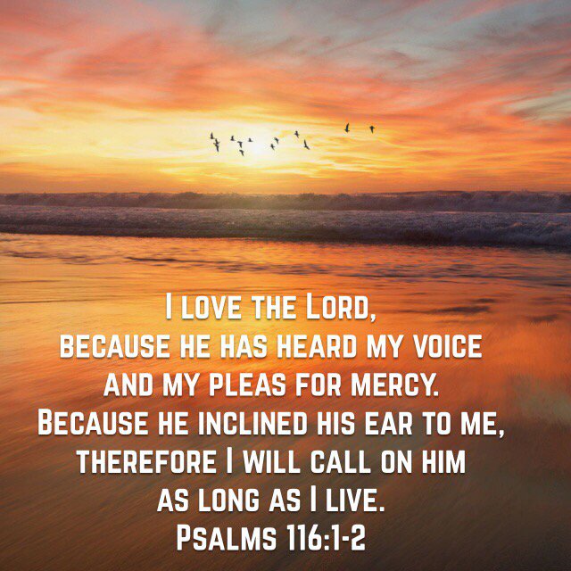GaryRevolution's tweet photo. I love the Lord, because he has heard my voice and my pleas for mercy...
Psa116:1-2  https://t.co/uwlooxKbmy https://t.co/kD9tvQDjnI