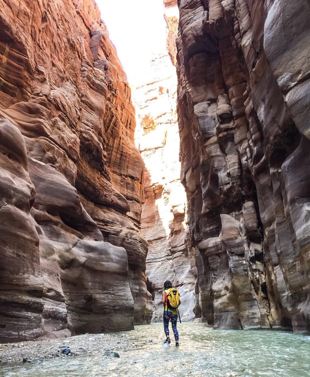 Tripstir app tweet media