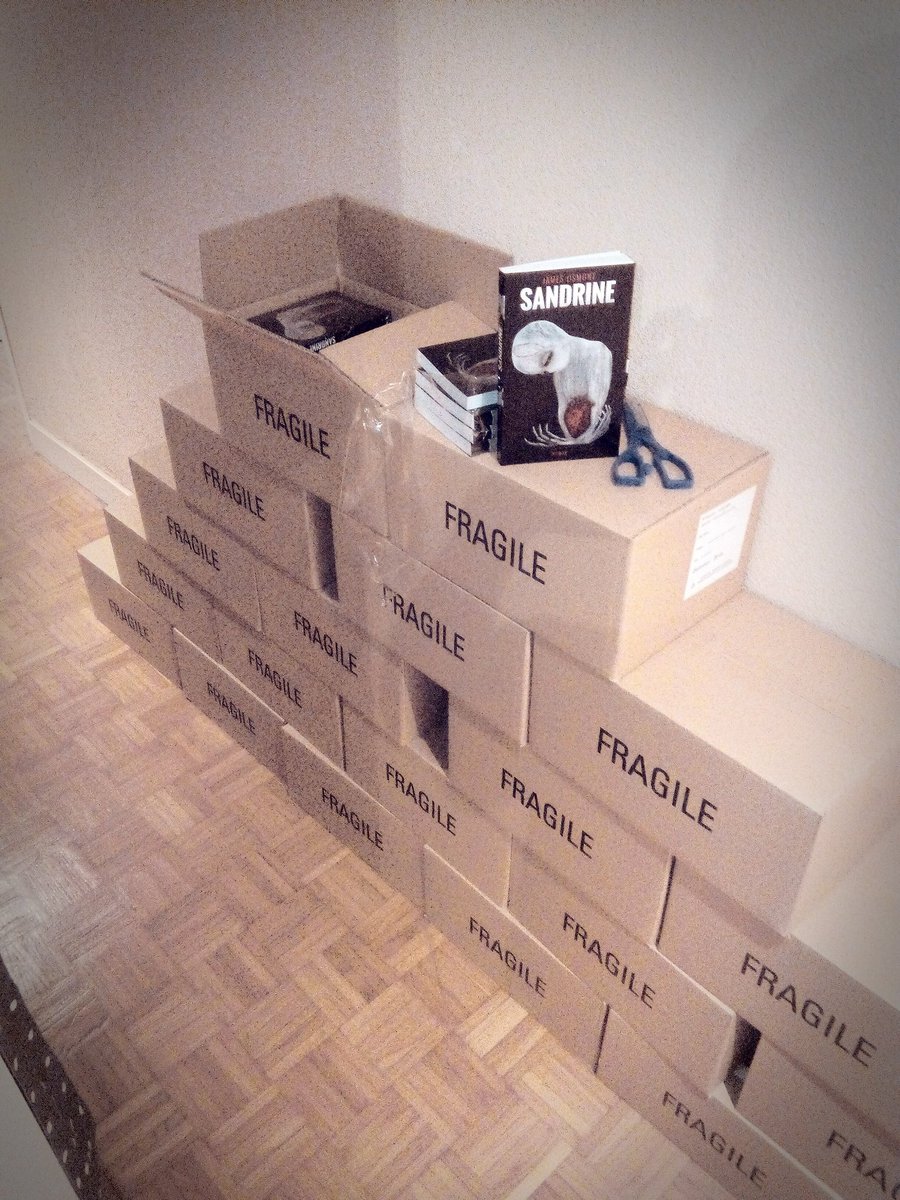 JOsmont_Auteur's tweet photo. Deuxième roman sorti d'imprimerie ! À vos commandes en MP !😉 #romansandrine #autoedition #appartementtroppetit #500ex #thrillerpsychiatrique https://t.co/NnZXYA3zCe