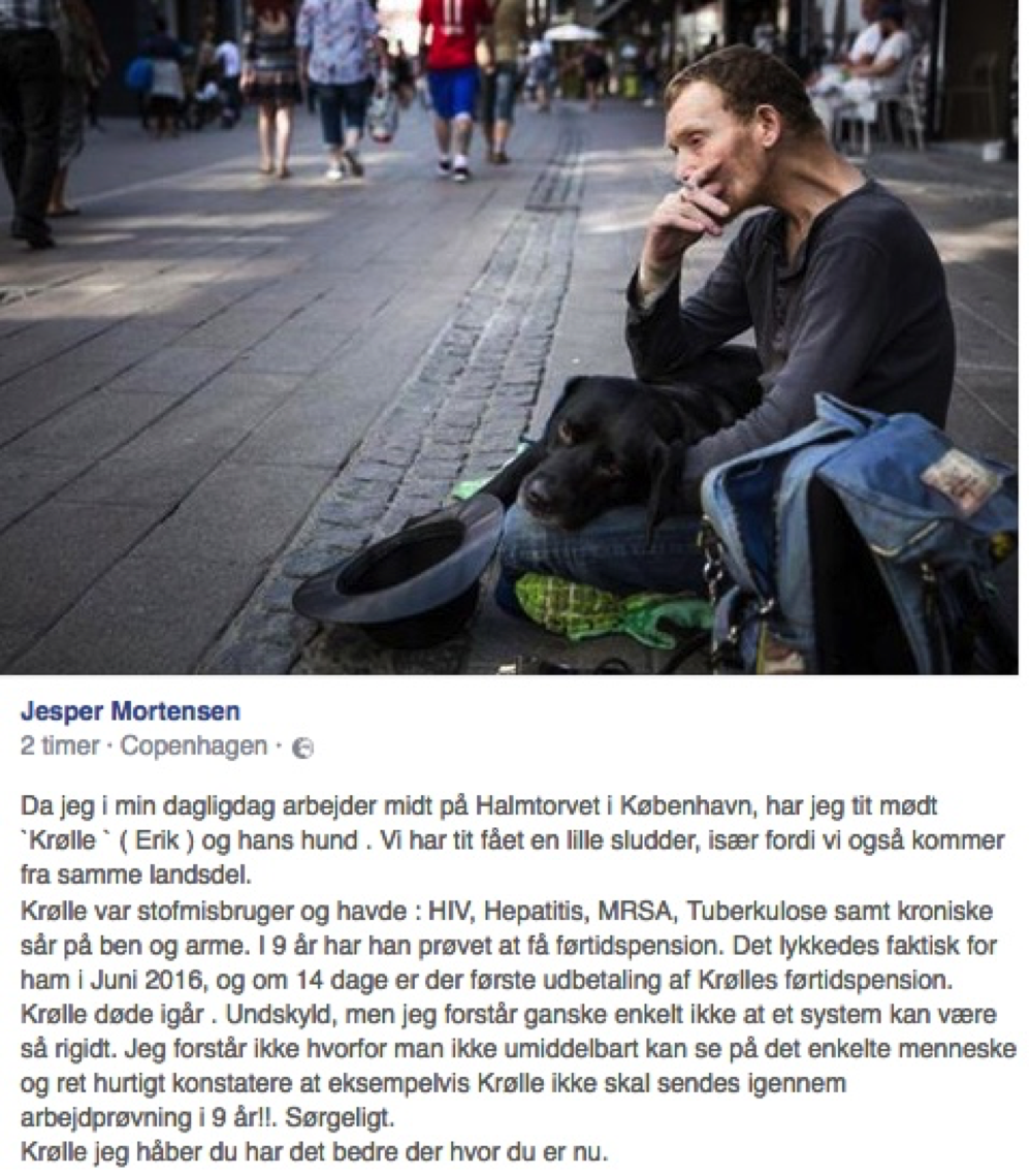 Georgi Mitchew tweet media