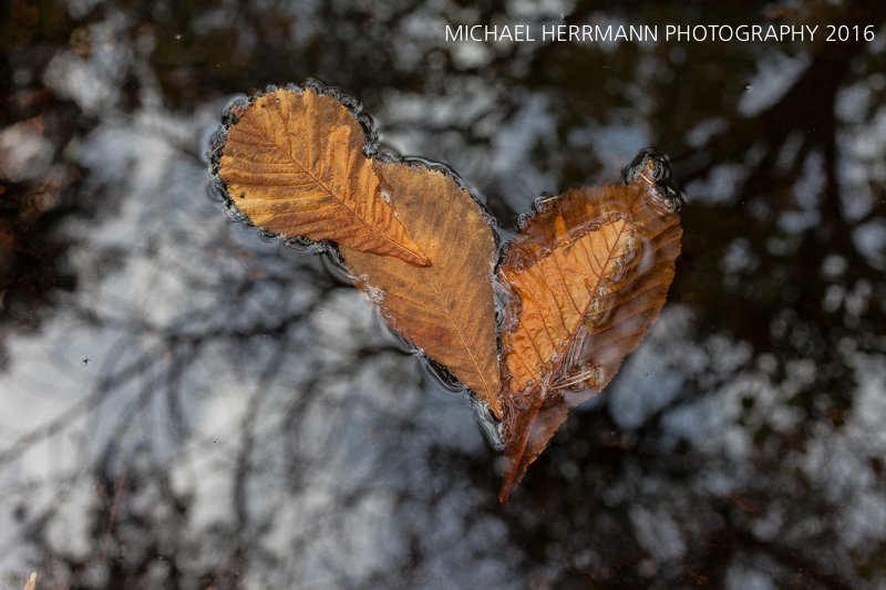 skelligphoto's tweet photo. Photography courses on the #skelligring https://t.co/6eZMjyPSzw -@KerryTIO @billyatkells @Portmagee1 https://t.co/nXzBI0hiWR