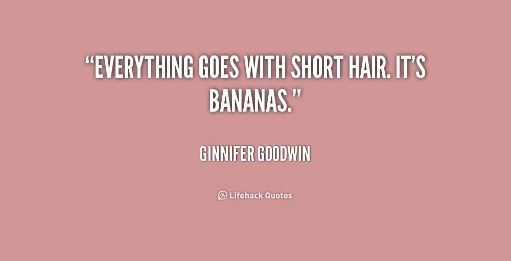 Hair quote  Funny quotes Work quotes Hair quotes