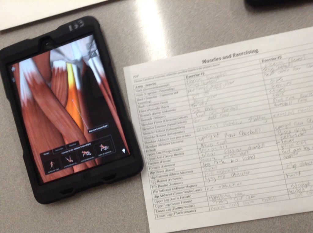BMLHPE's tweet photo. Getting some "go to" exercises and stretches for certain muscle groups using iMuscle2. #tldsblearns #tldsbdlc https://t.co/4jvpftHSKO