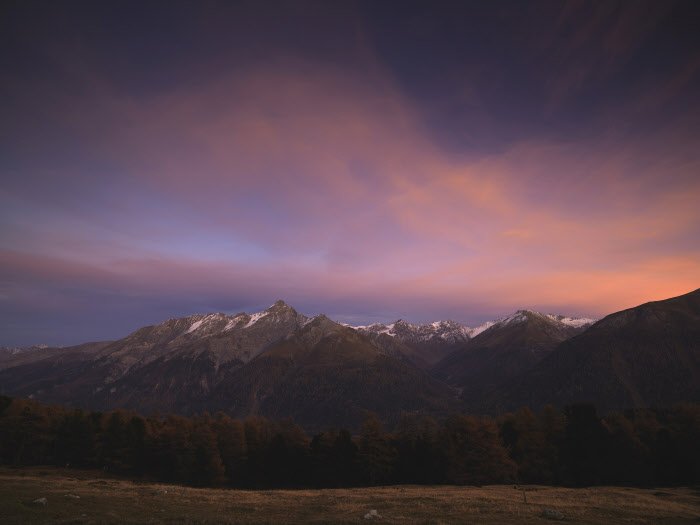 St. Moritz tweet media