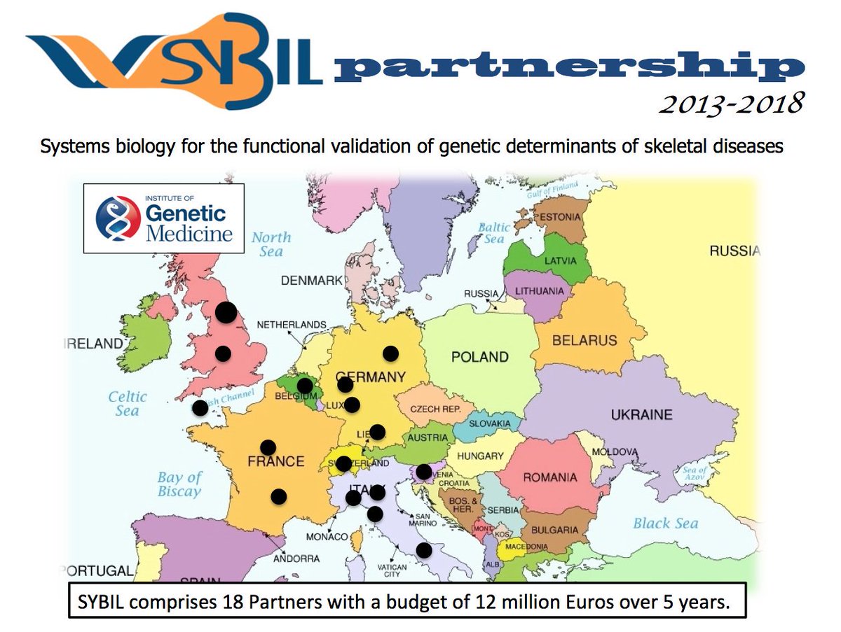 .......and how EU funding has transformed #skeletalgenetics #skeletaldysplasia #raredisease translational research @SYBIL_news