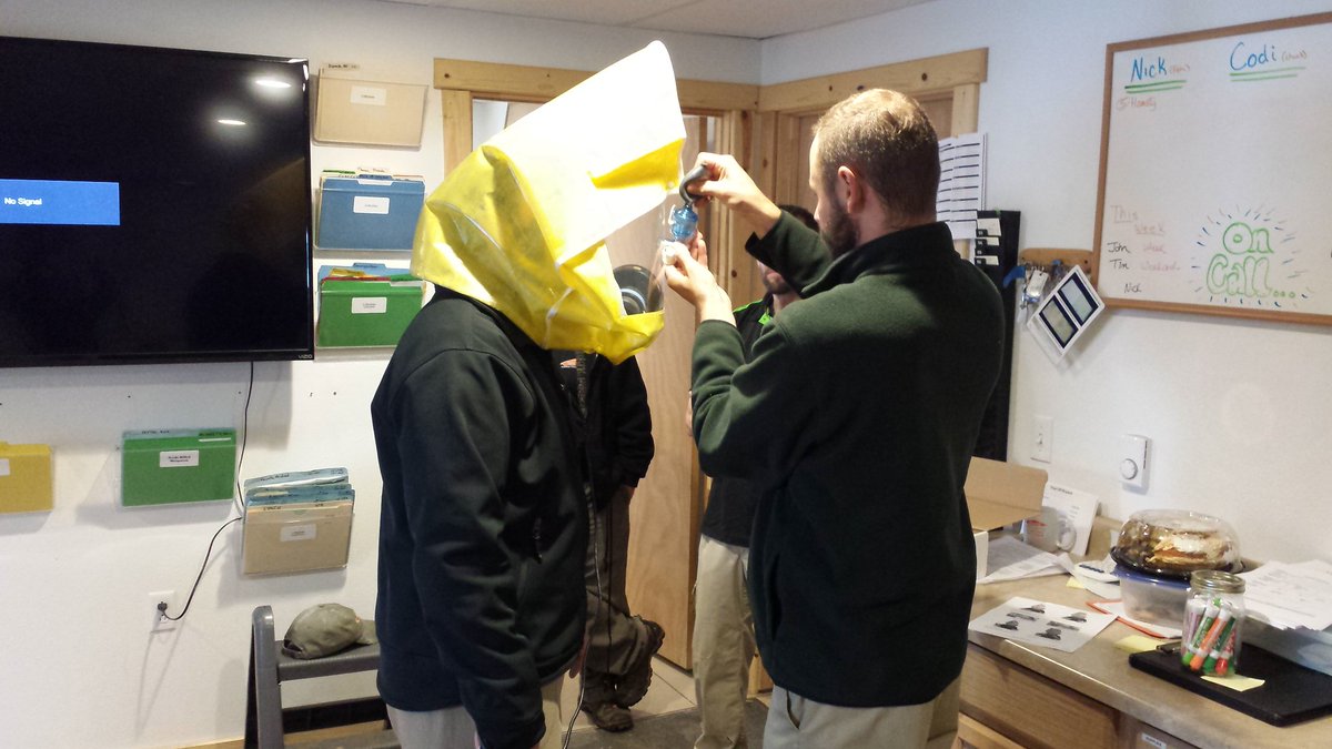 Respirator fit tests this morning.