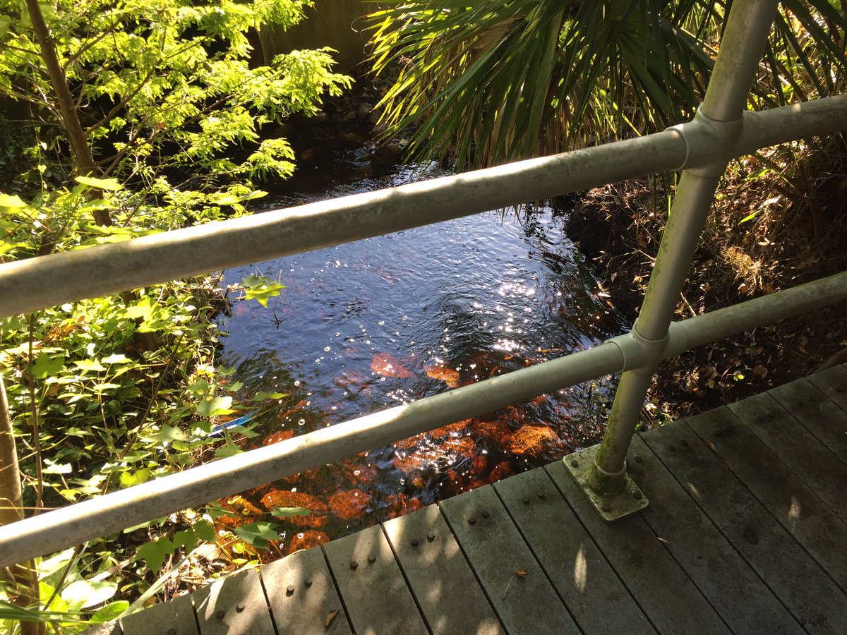 Huckstarxc tweet media