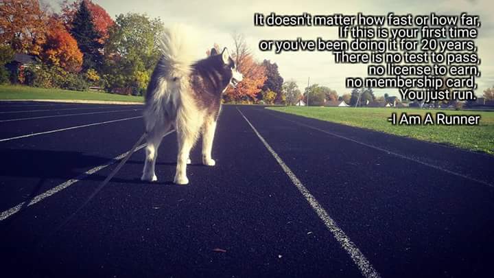Furball's Choice tweet media
