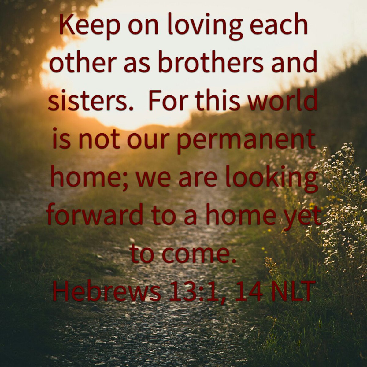 Keep on loving each other as brothers and sisters.  Don’t forget to show hospitality to strangers, for…
bible.com/116/heb.13.1-1…