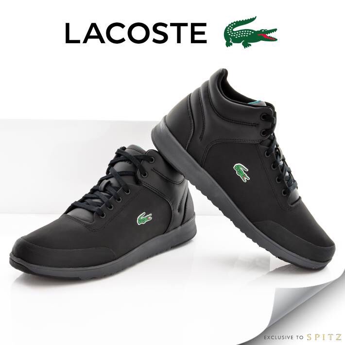 spitz lacoste shoes