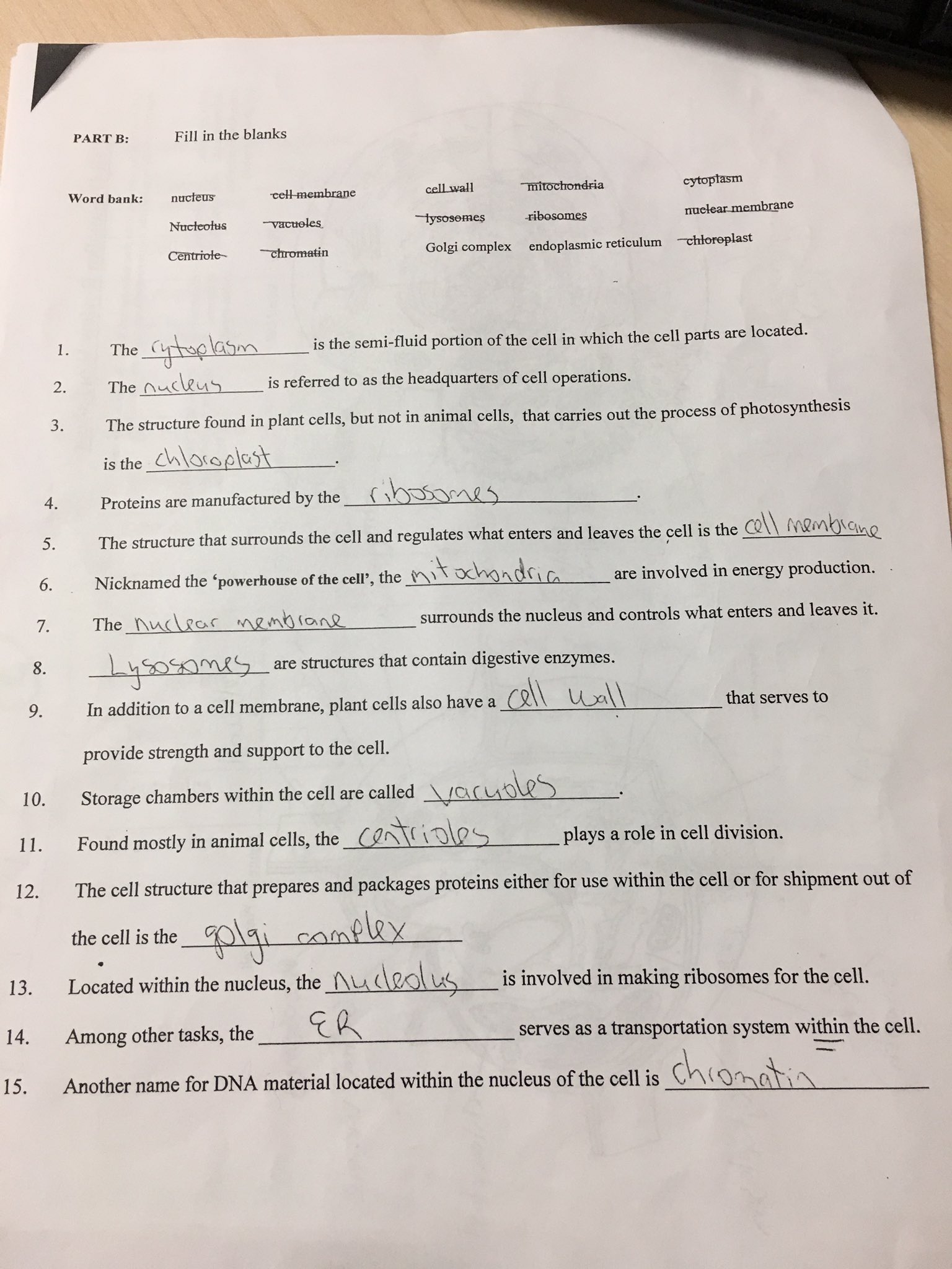 Cell Organelles Worksheet Answer Key Pro Worksheet