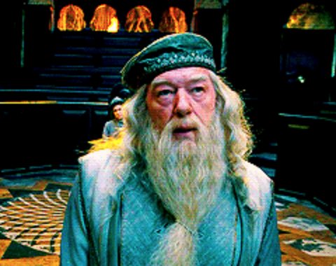 _We_Love_HP_'s tweet photo. Order of the Phoenix in four pictures https://t.co/01s7w3DaNL
