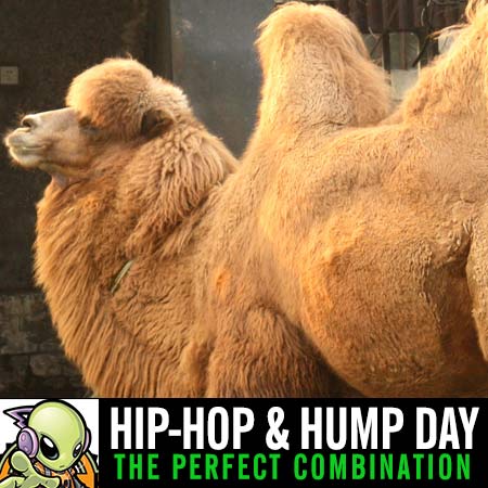 wearemdk's tweet photo. #facts Brighten up your Hump Day mood with a little Hip-Hop https://t.co/ZTHoYhx34f <---listen now #hhm #humpday  #revo365 pls rt https://t.co/6rwgQIr1rV