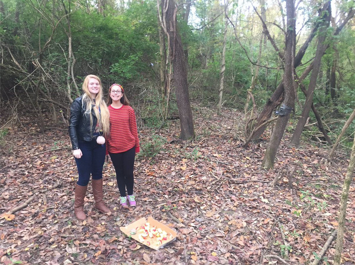 Wildlife cameras set up at Lindeman #IRIS <a href="/DocPainter/">Bryan Painter</a>